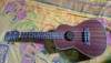 Ukelele 24